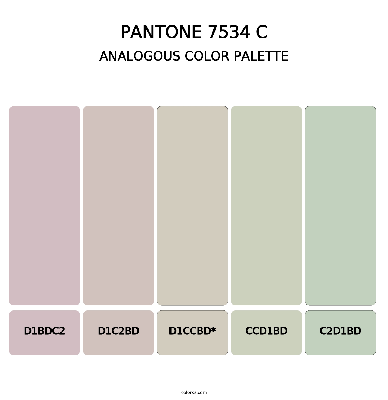 PANTONE 7534 C - Analogous Color Palette