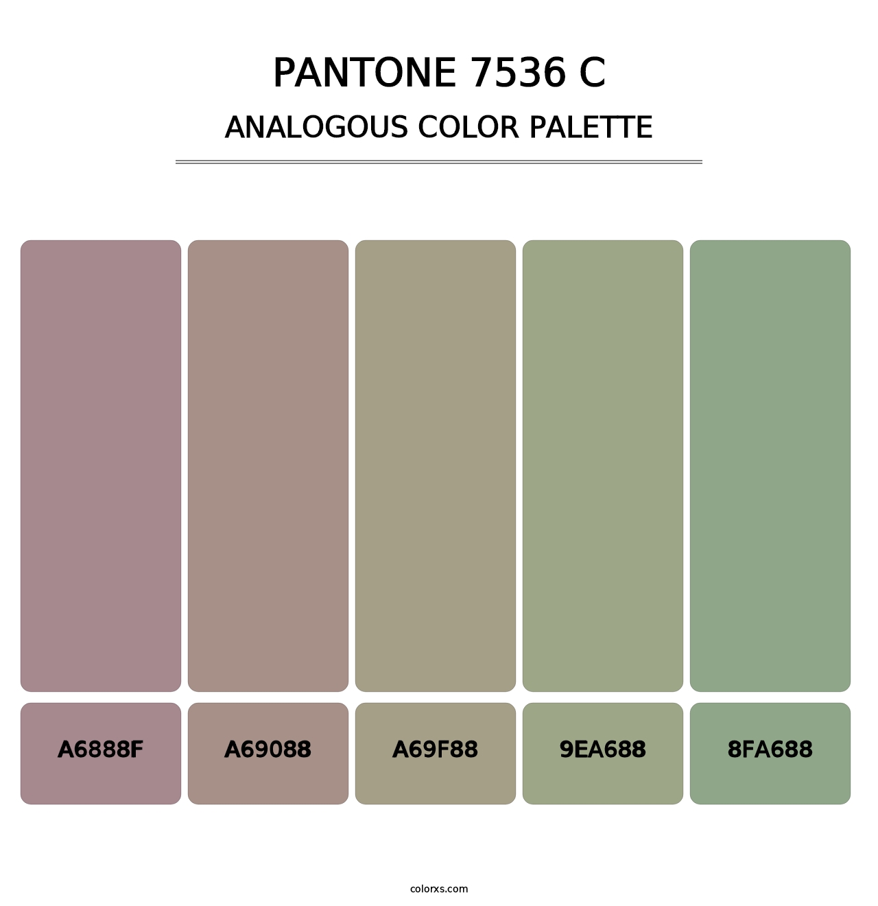 PANTONE 7536 C - Analogous Color Palette