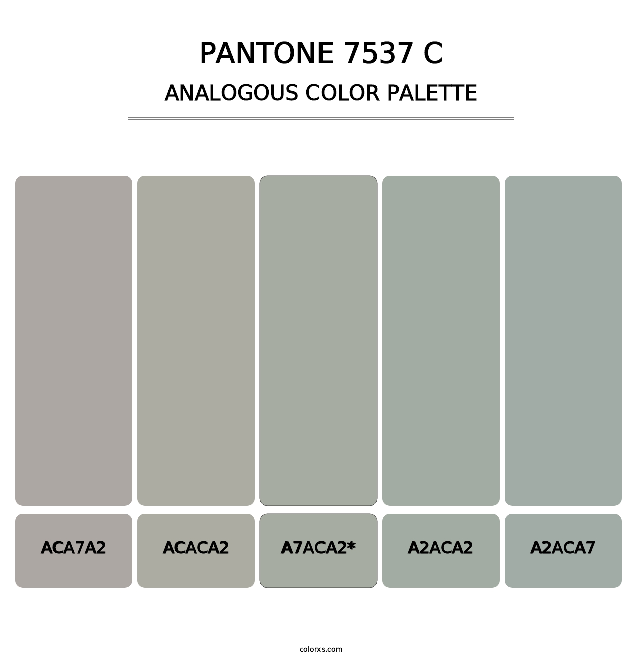 PANTONE 7537 C - Analogous Color Palette