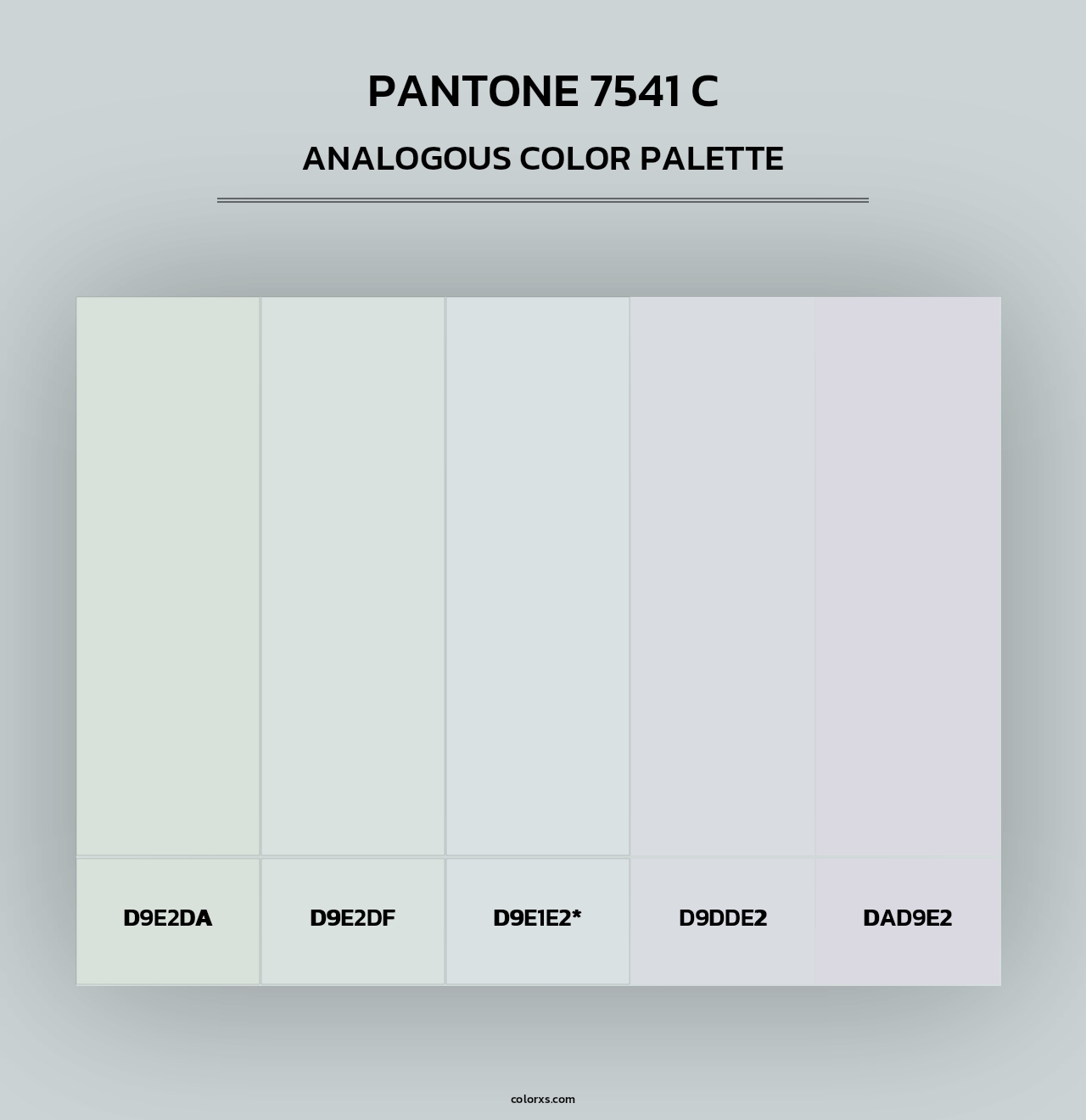PANTONE 7541 C - Analogous Color Palette