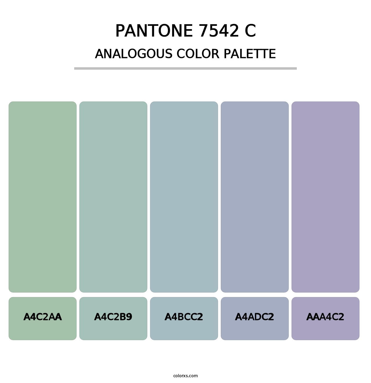 PANTONE 7542 C - Analogous Color Palette