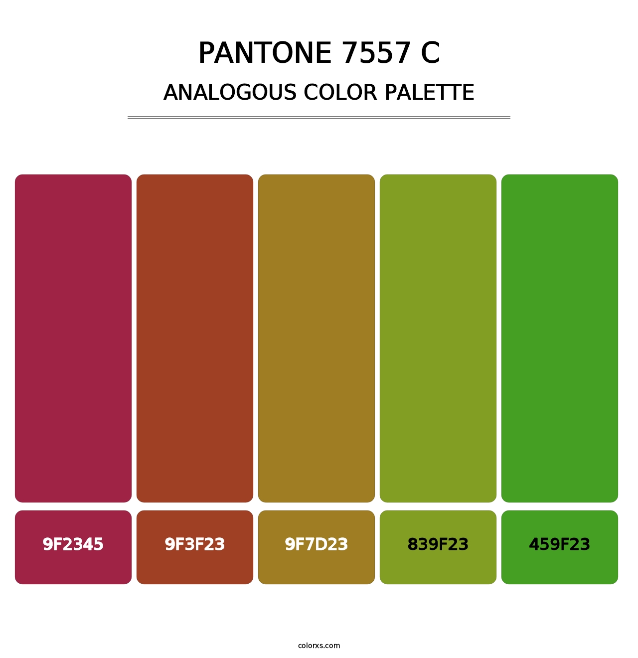 PANTONE 7557 C - Analogous Color Palette