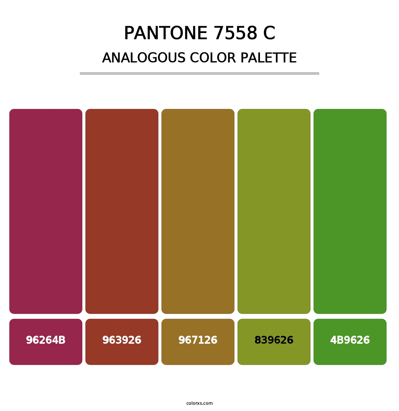 PANTONE 7558 C - Analogous Color Palette