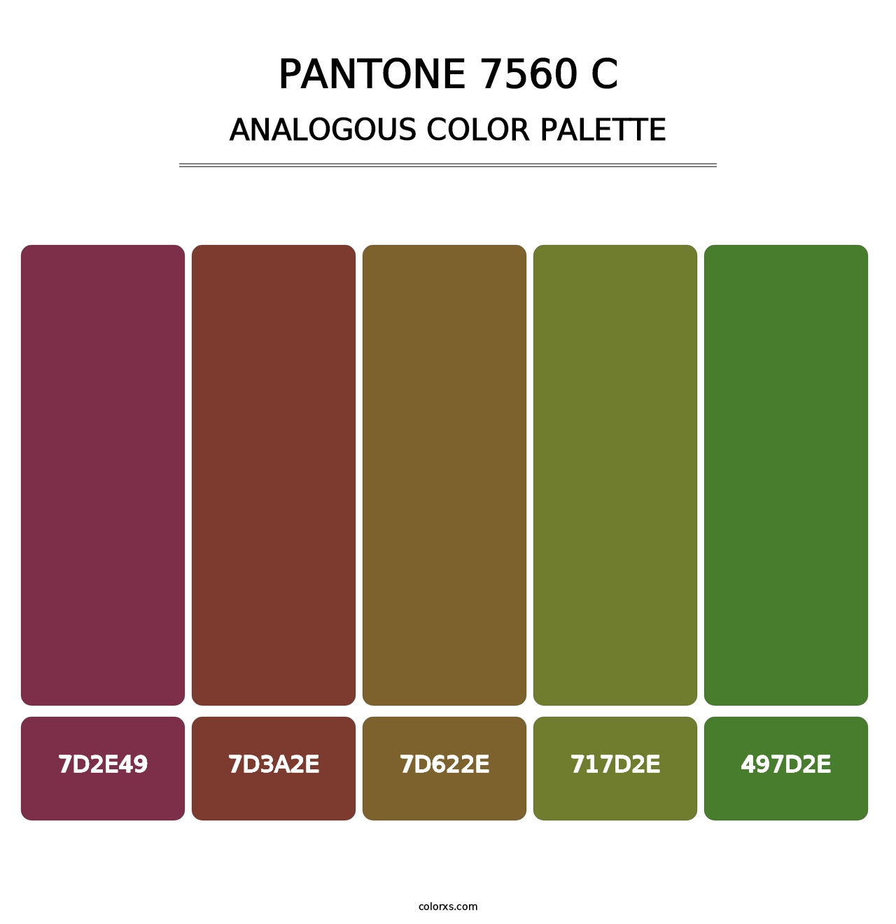 PANTONE 7560 C - Analogous Color Palette