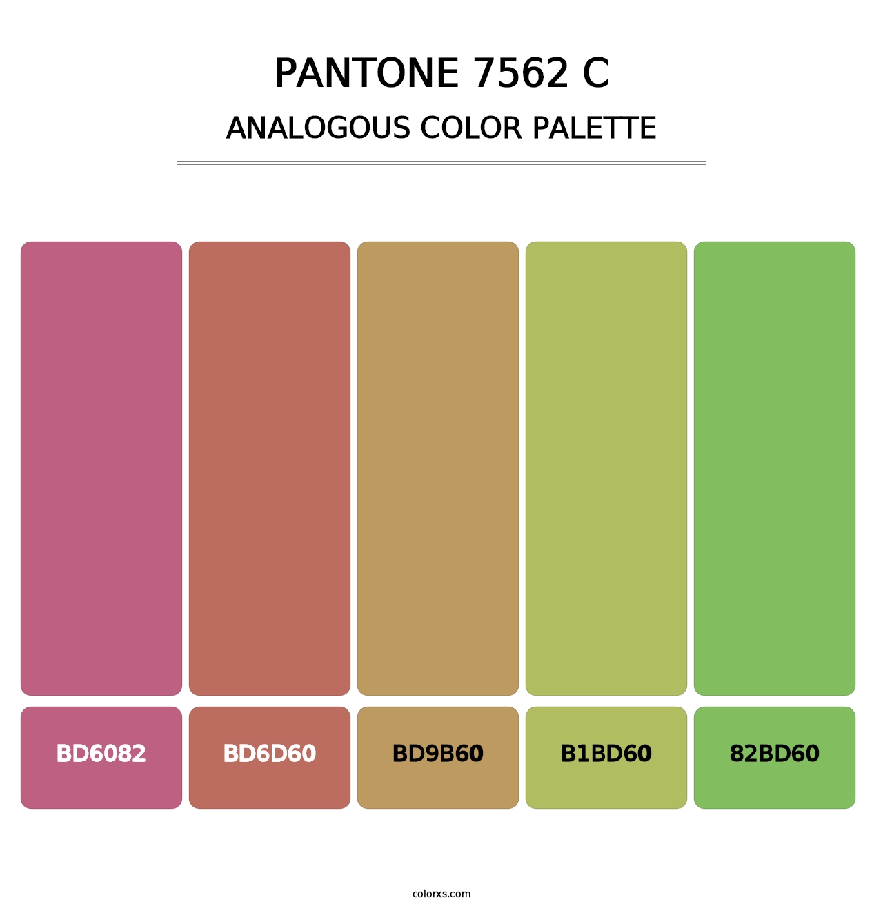 PANTONE 7562 C - Analogous Color Palette