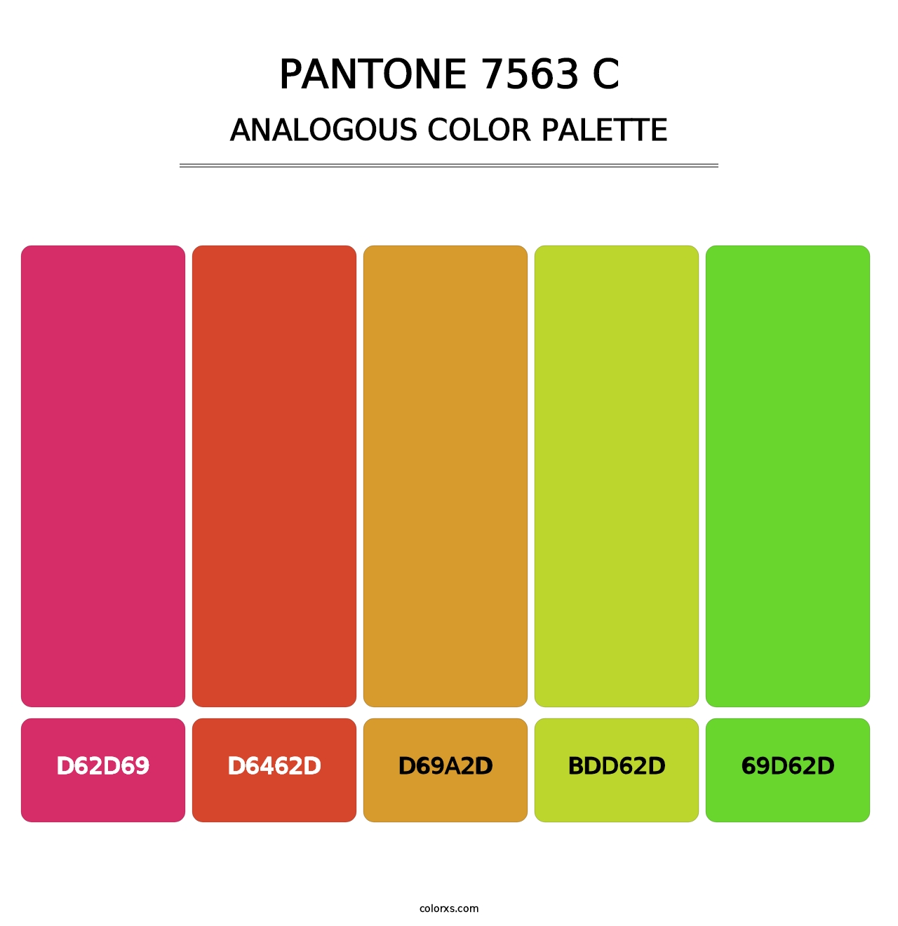 PANTONE 7563 C - Analogous Color Palette