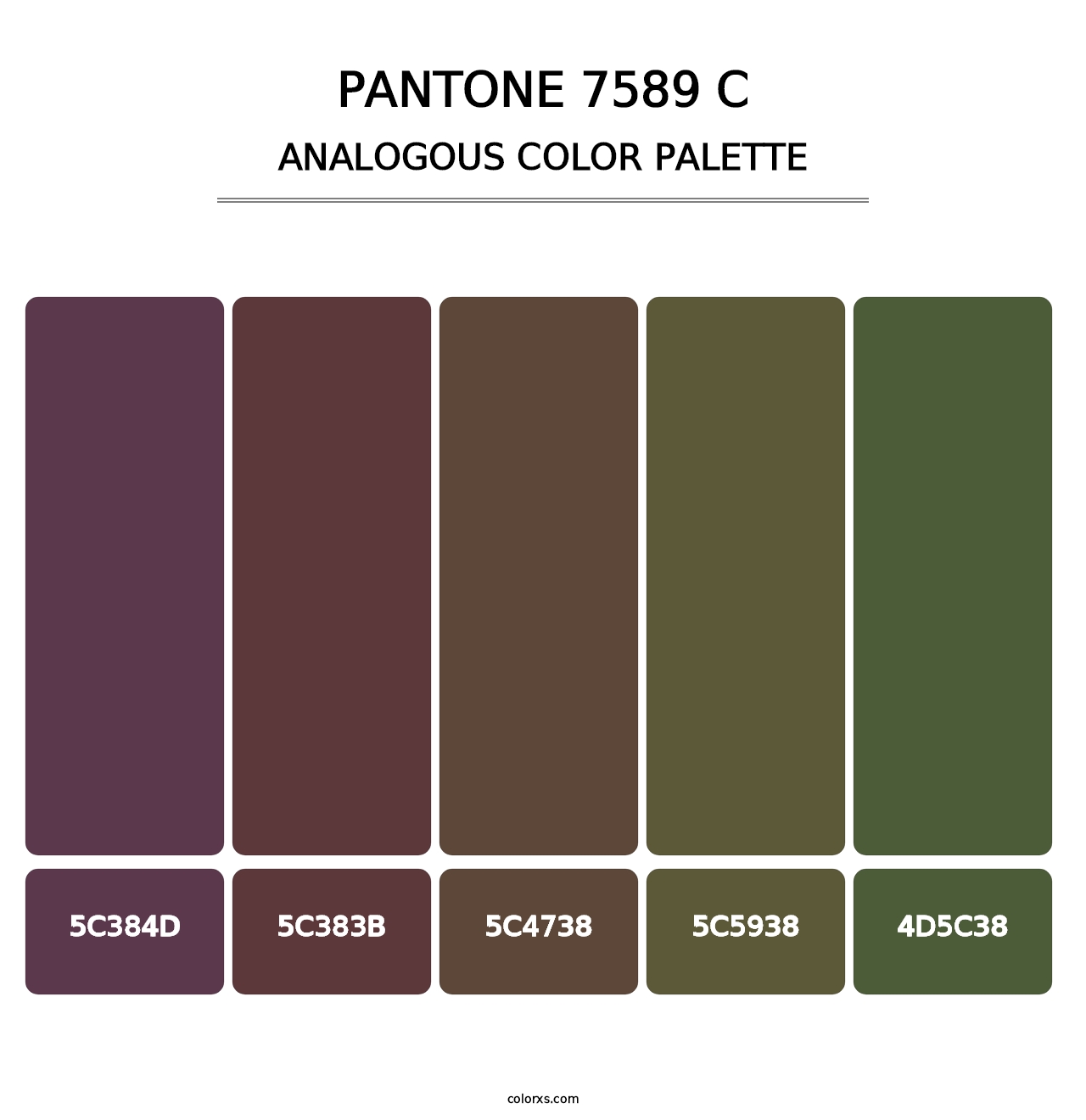 PANTONE 7589 C - Analogous Color Palette
