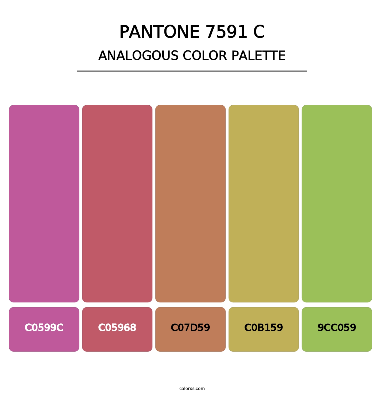 PANTONE 7591 C - Analogous Color Palette