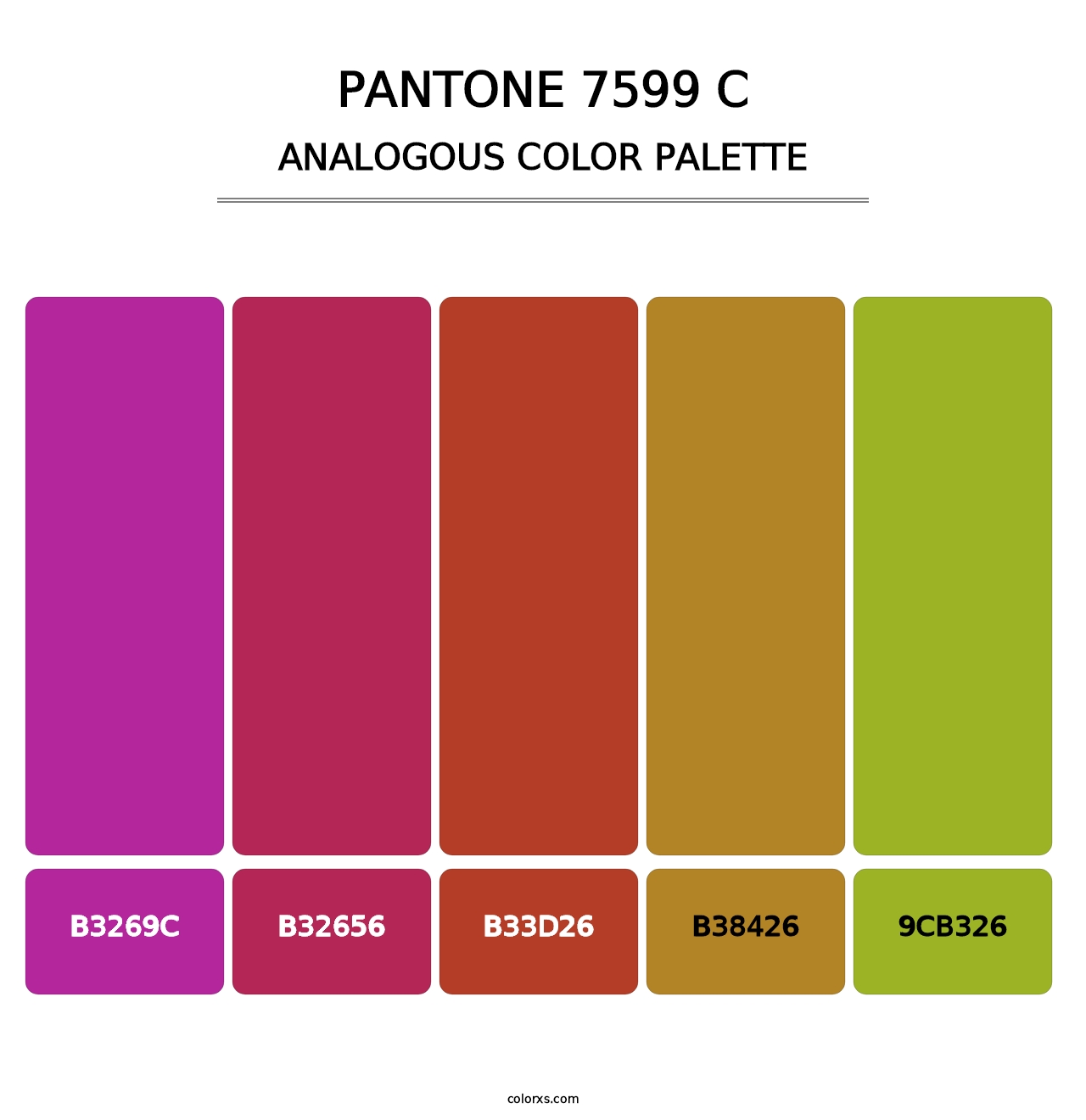 PANTONE 7599 C - Analogous Color Palette
