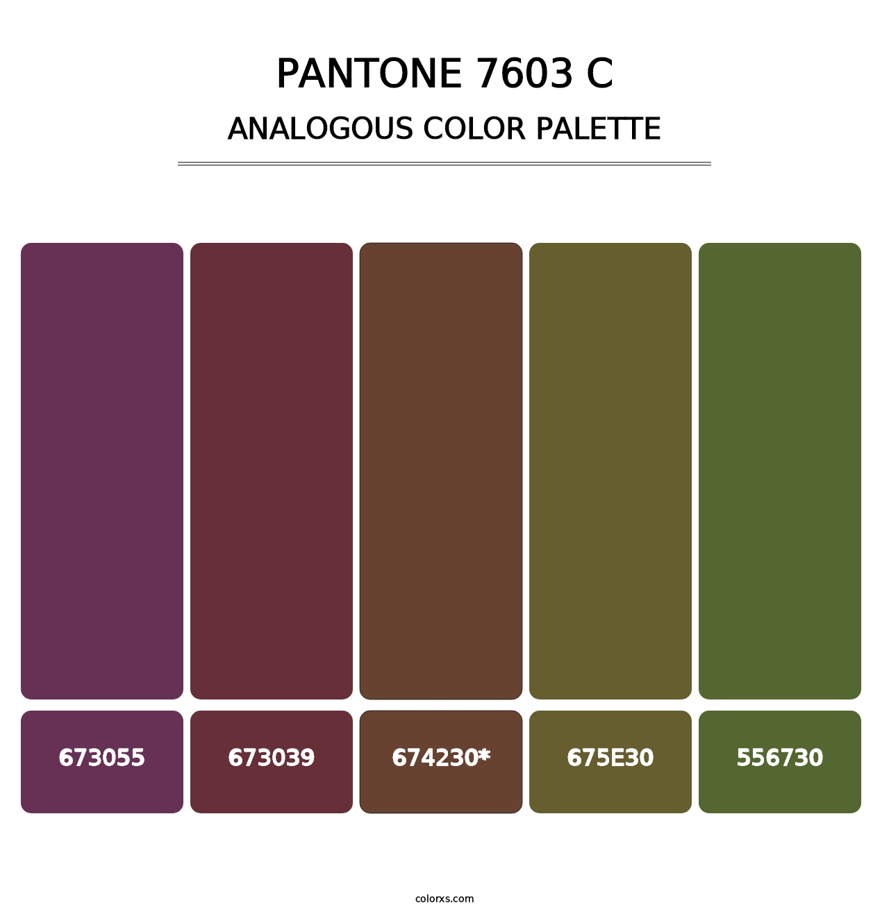 PANTONE 7603 C - Analogous Color Palette