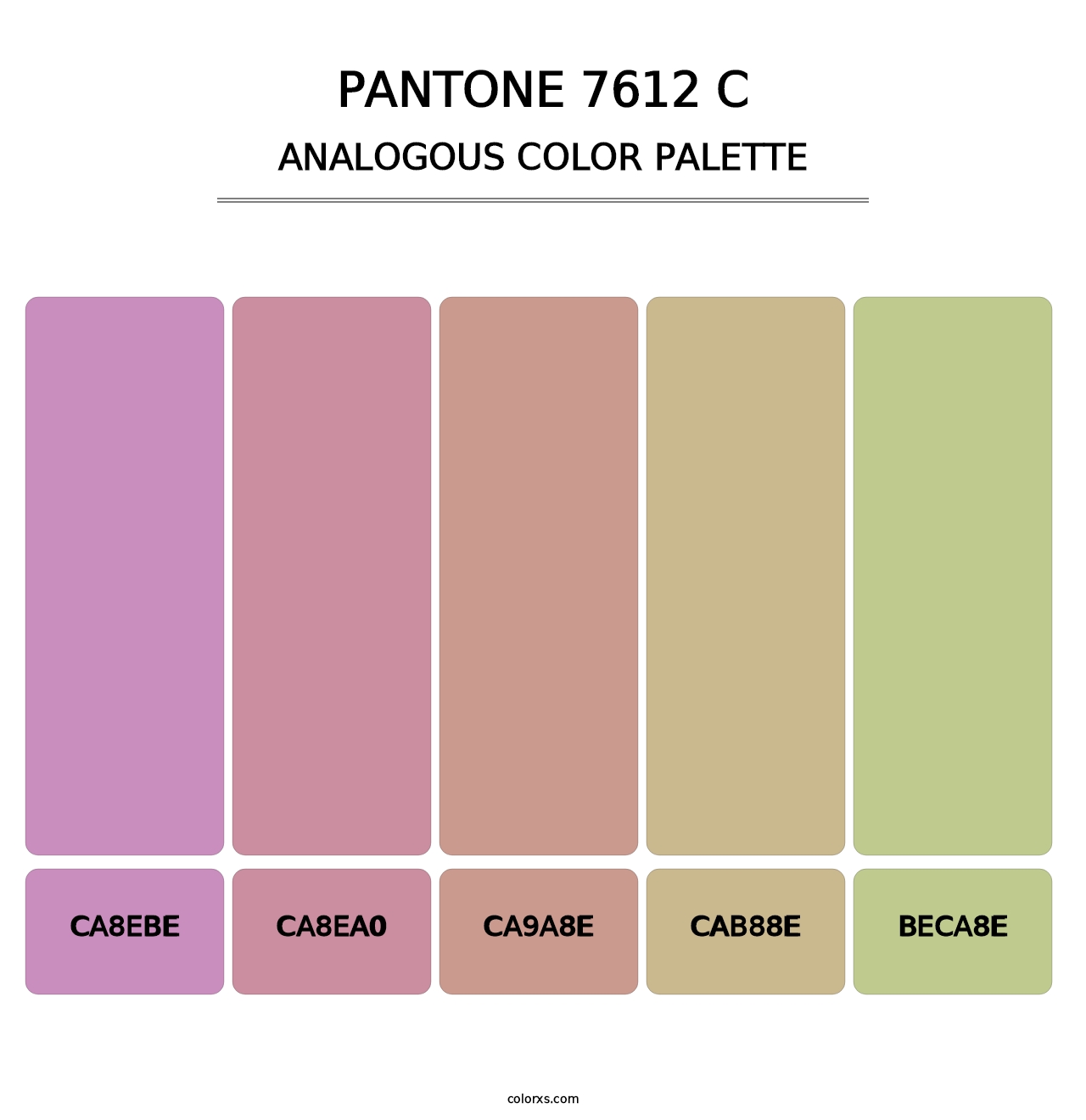 PANTONE 7612 C - Analogous Color Palette