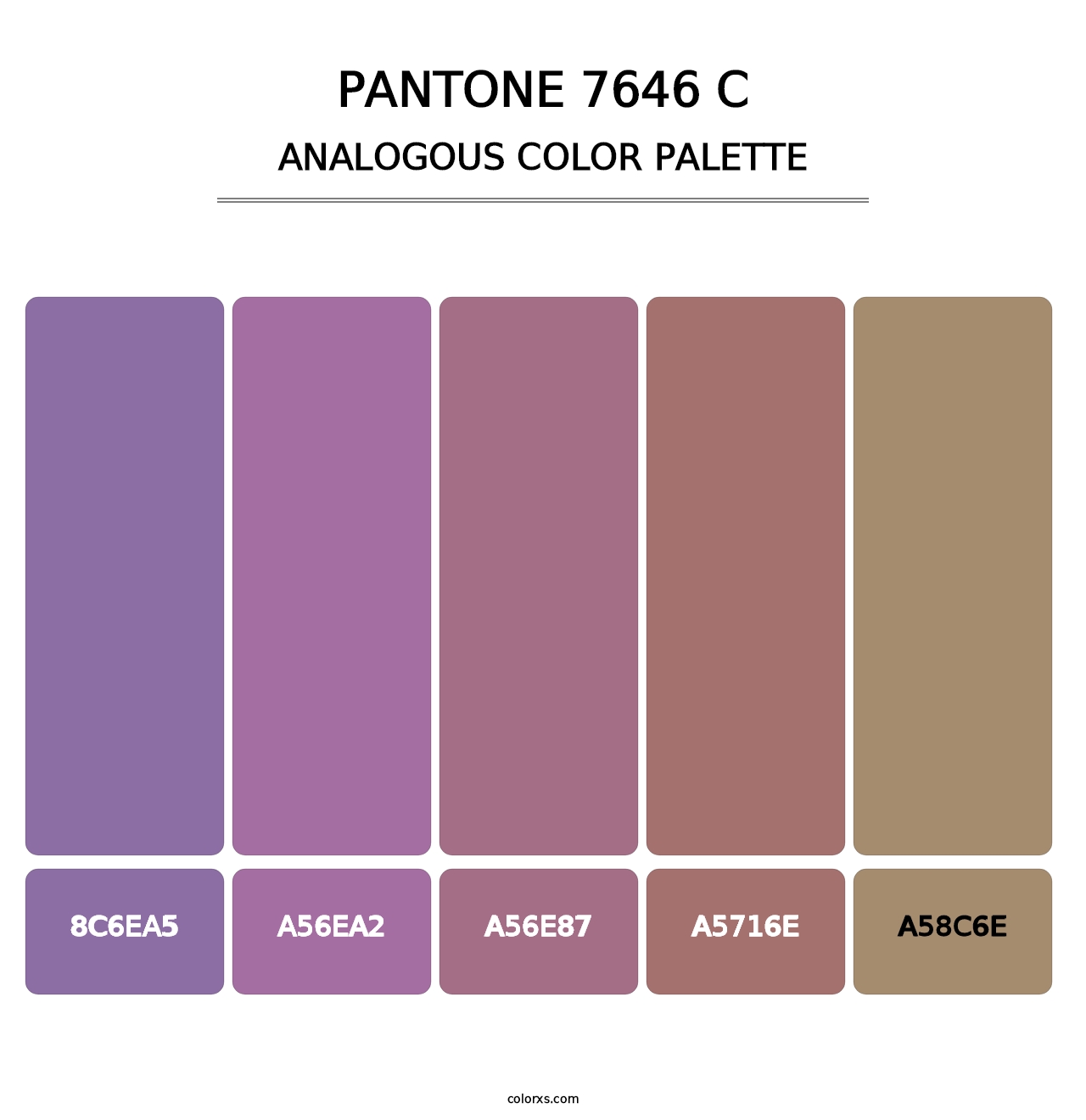 PANTONE 7646 C - Analogous Color Palette