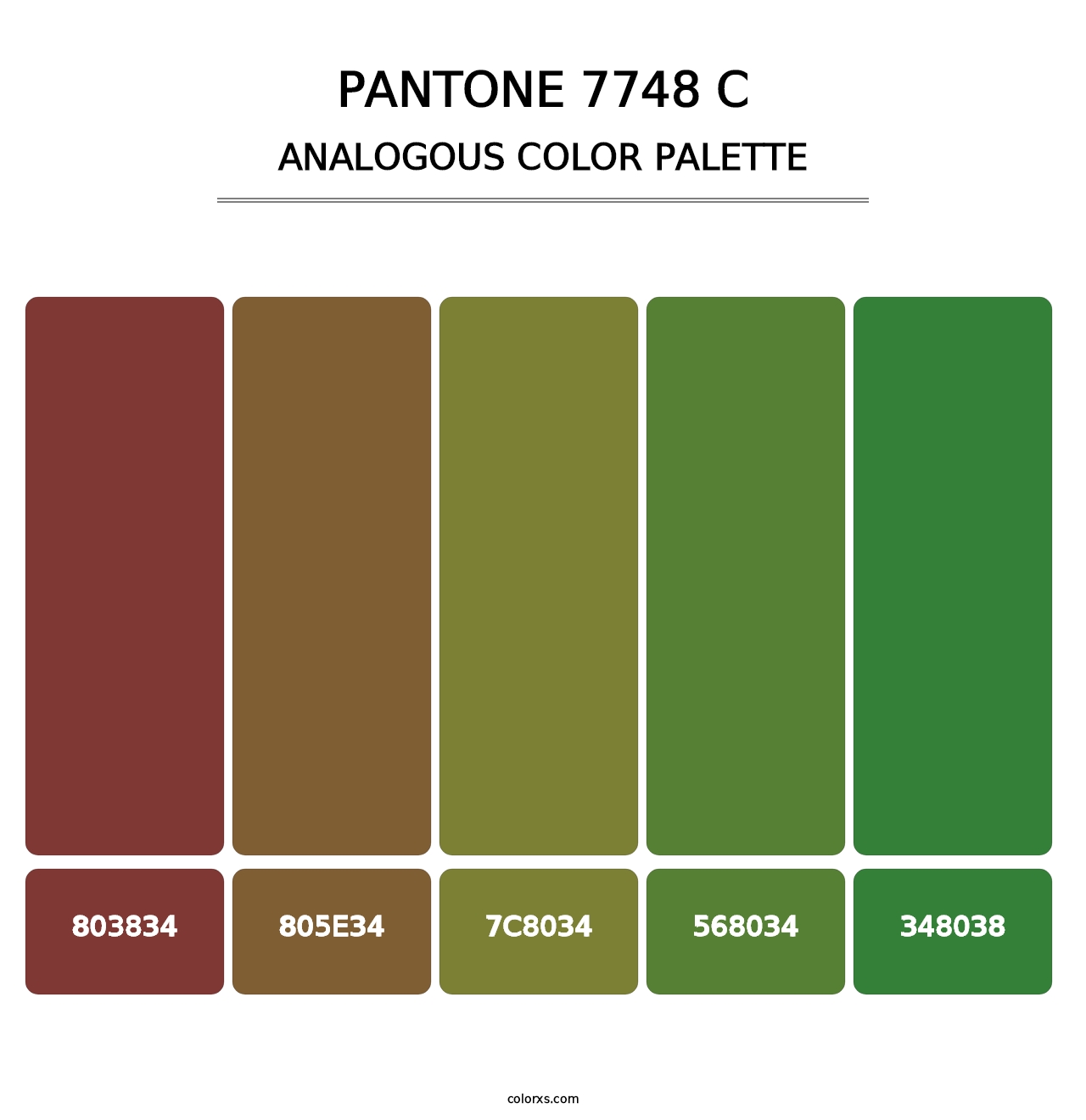 PANTONE 7748 C - Analogous Color Palette