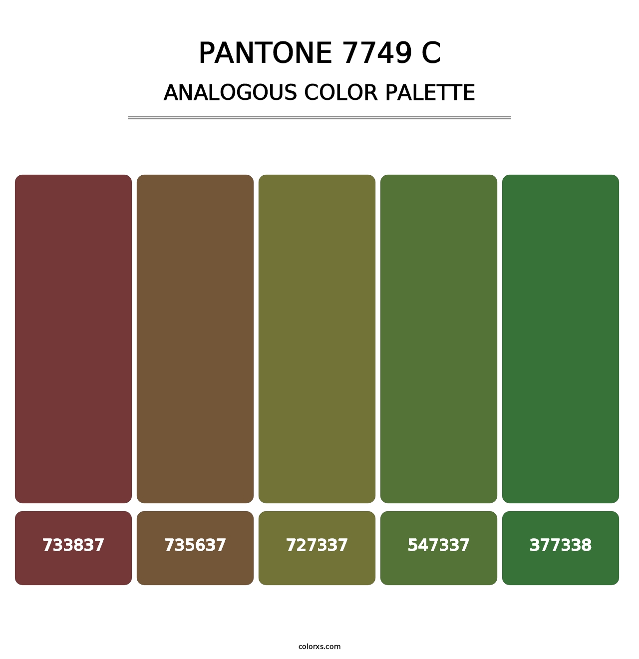 PANTONE 7749 C - Analogous Color Palette