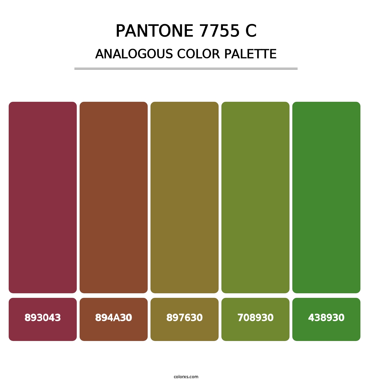 PANTONE 7755 C - Analogous Color Palette