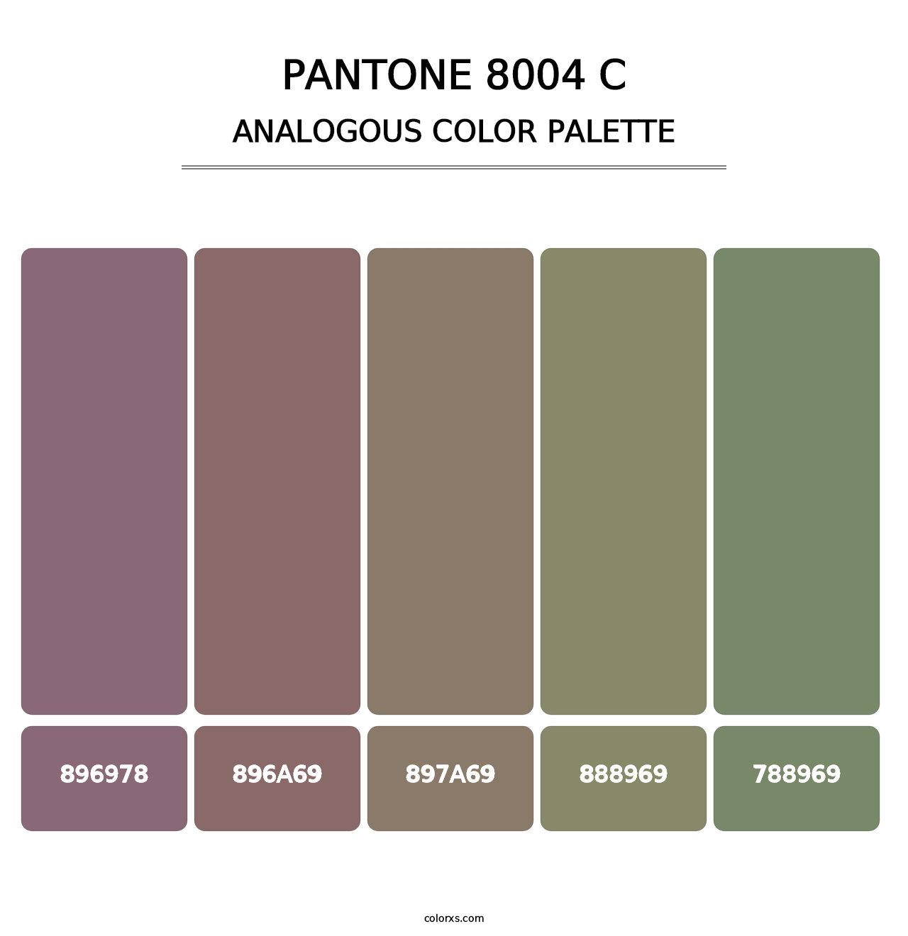 PANTONE 8004 C - Analogous Color Palette