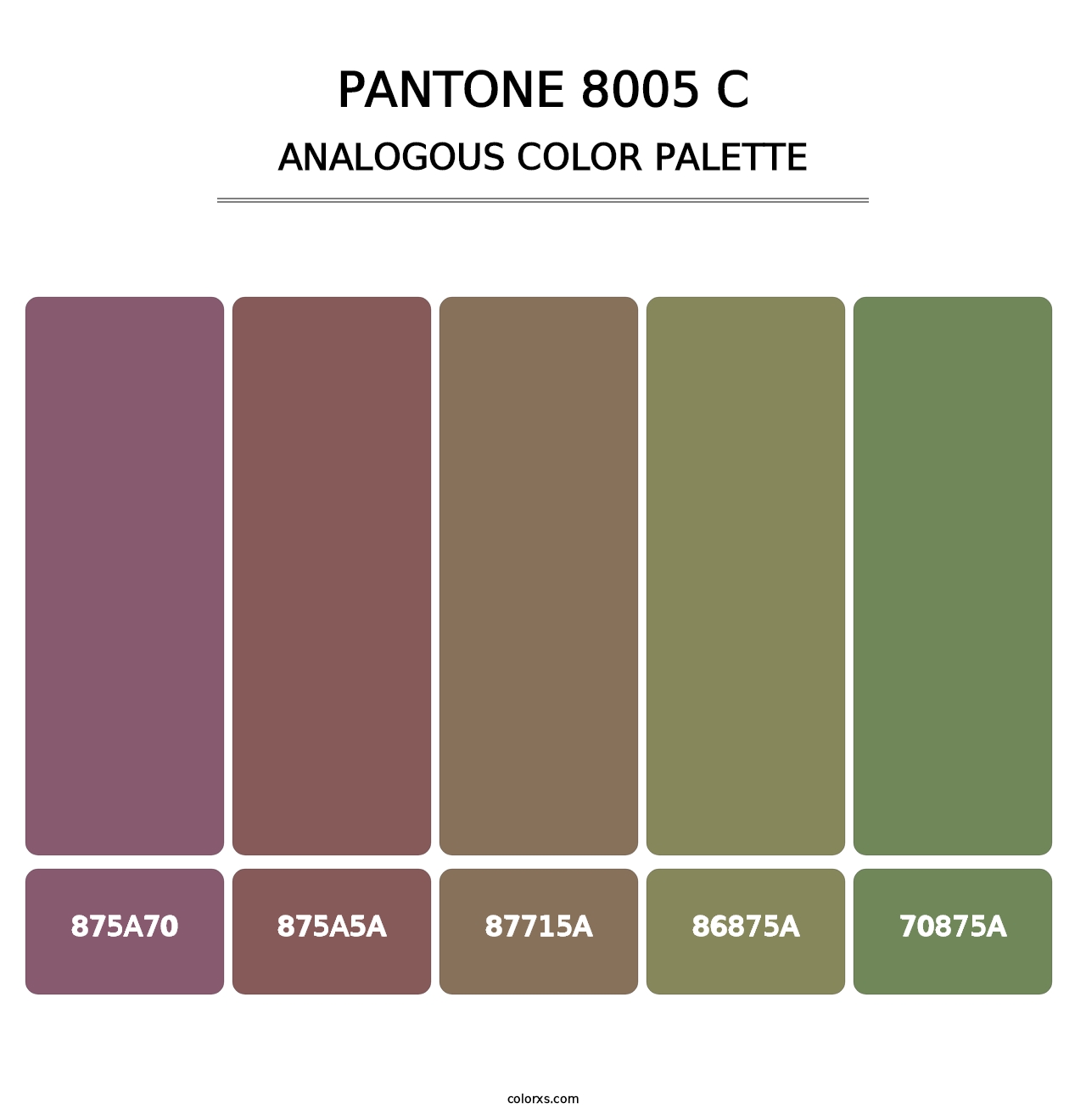 PANTONE 8005 C - Analogous Color Palette