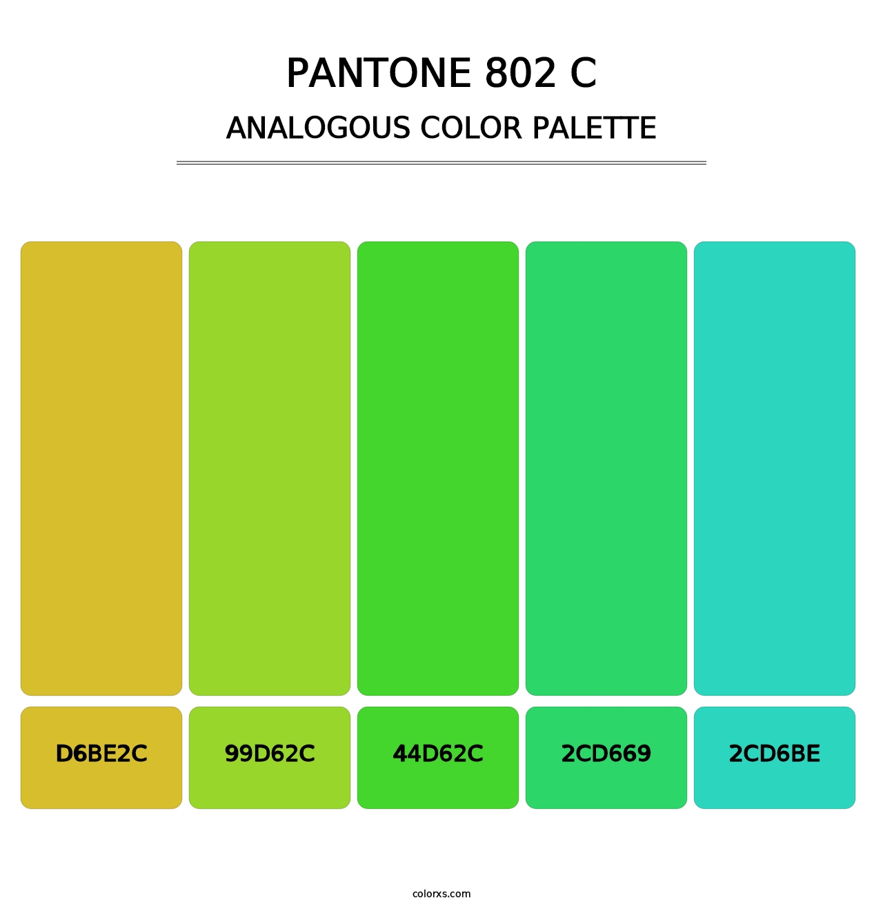 PANTONE 802 C - Analogous Color Palette