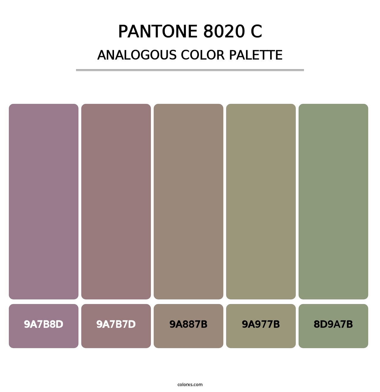 PANTONE 8020 C - Analogous Color Palette