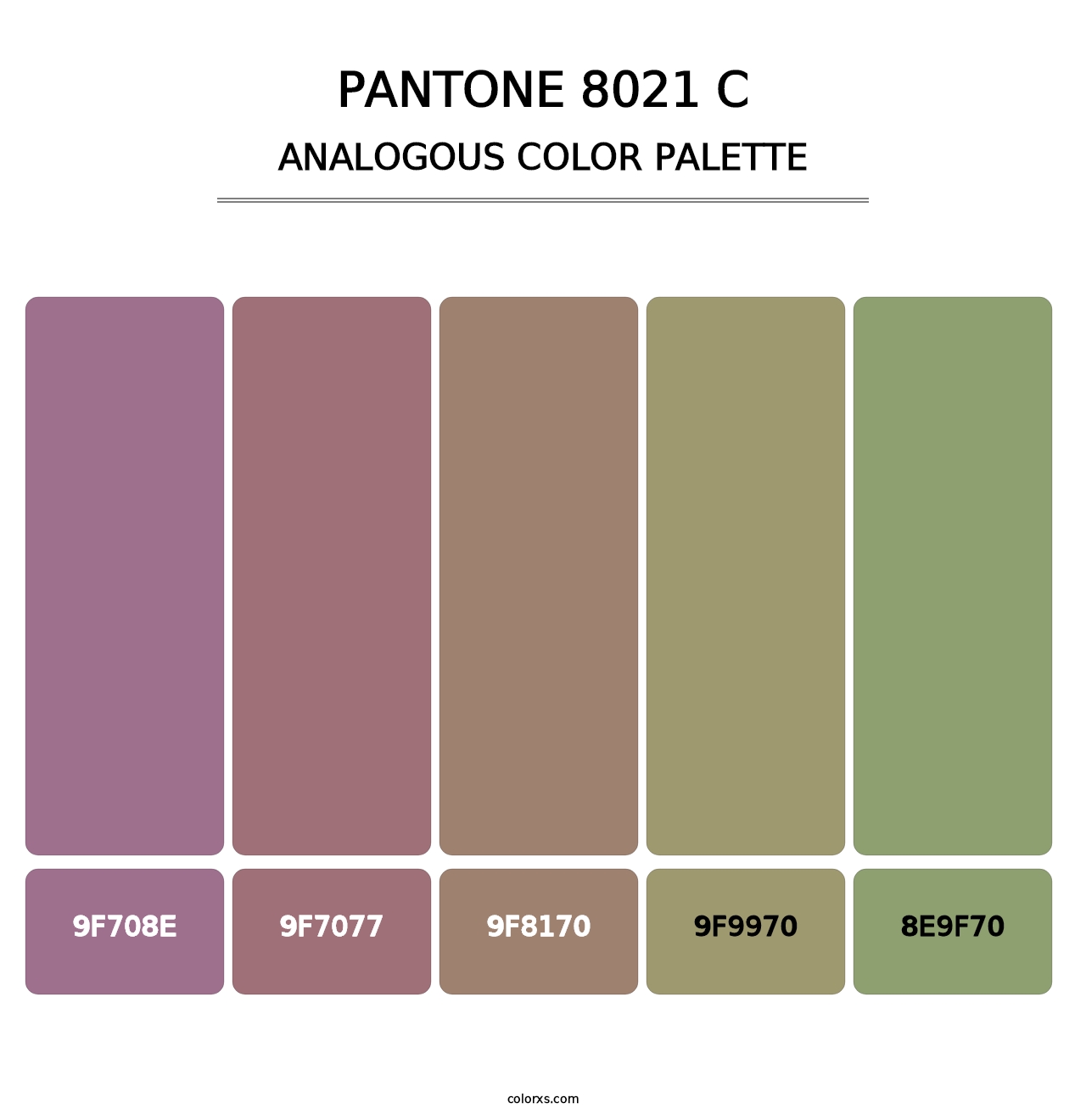 PANTONE 8021 C - Analogous Color Palette