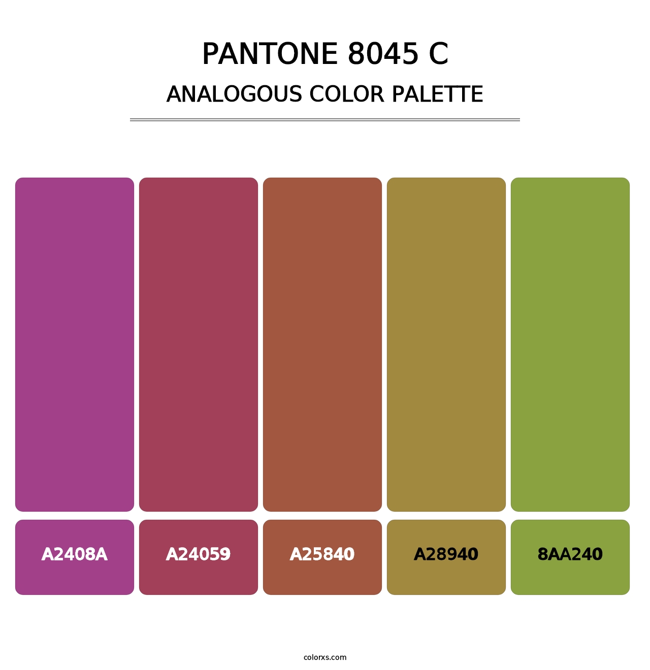 PANTONE 8045 C - Analogous Color Palette