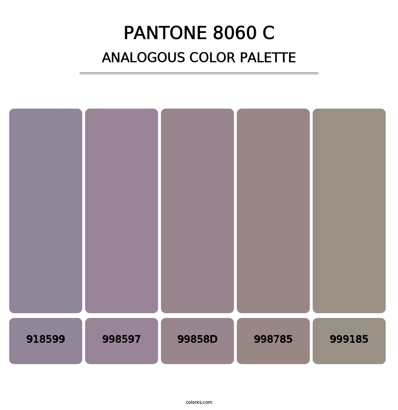 PANTONE 8060 C - Analogous Color Palette