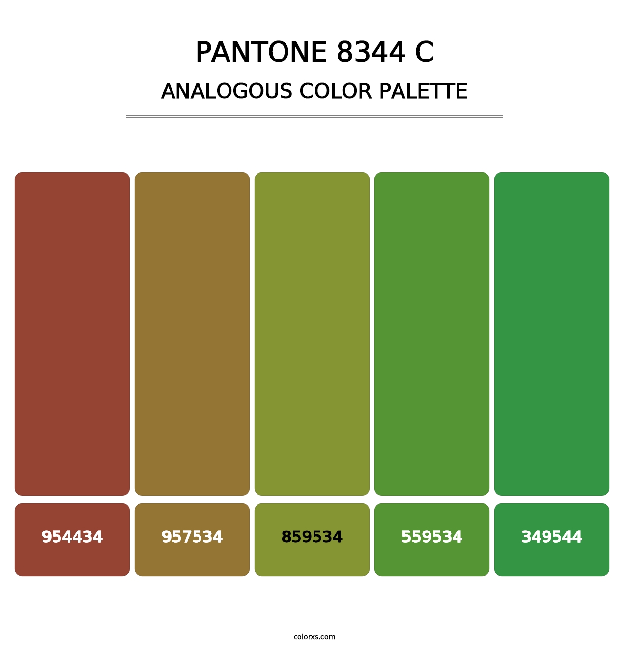 PANTONE 8344 C - Analogous Color Palette