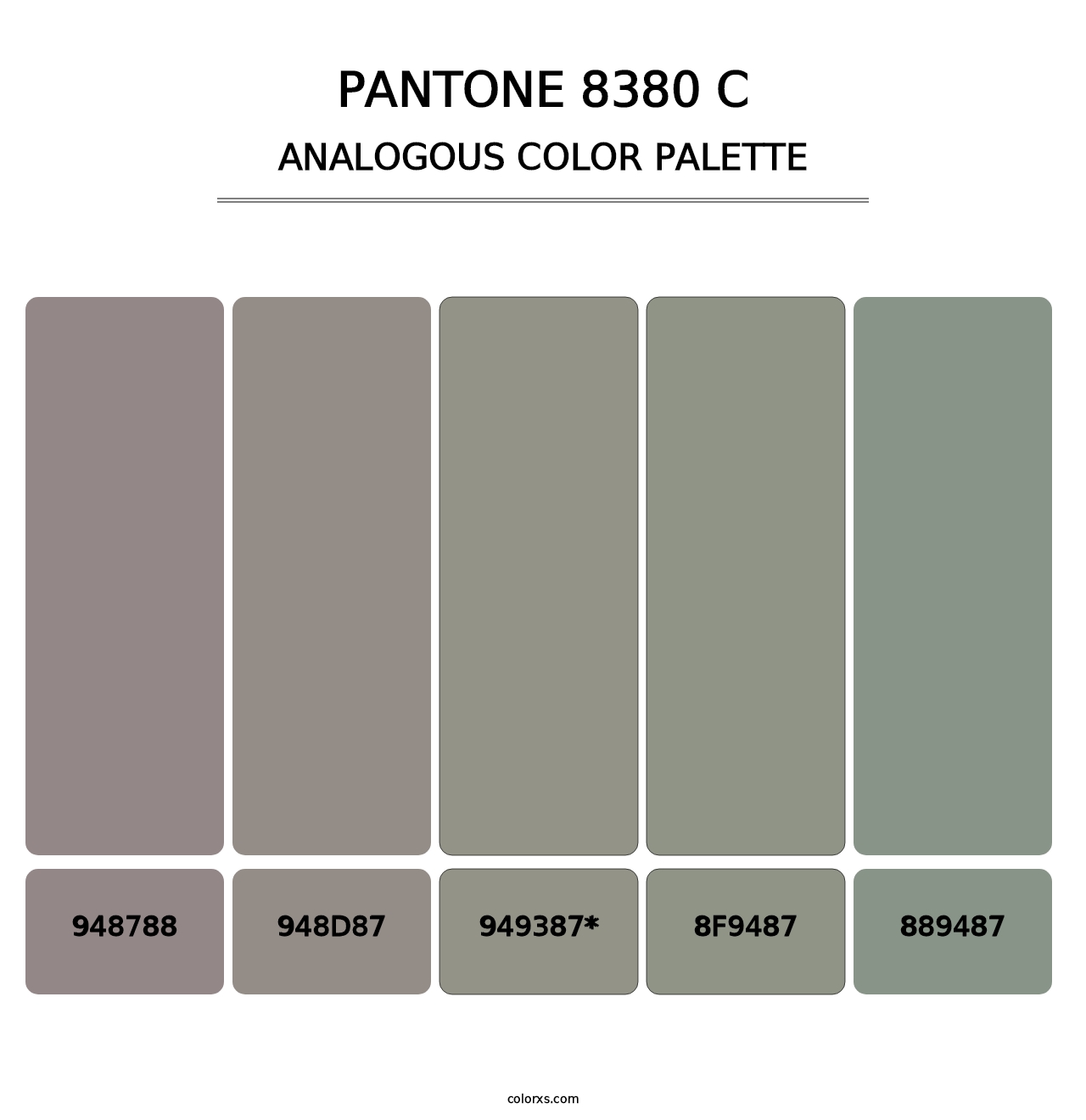 PANTONE 8380 C - Analogous Color Palette