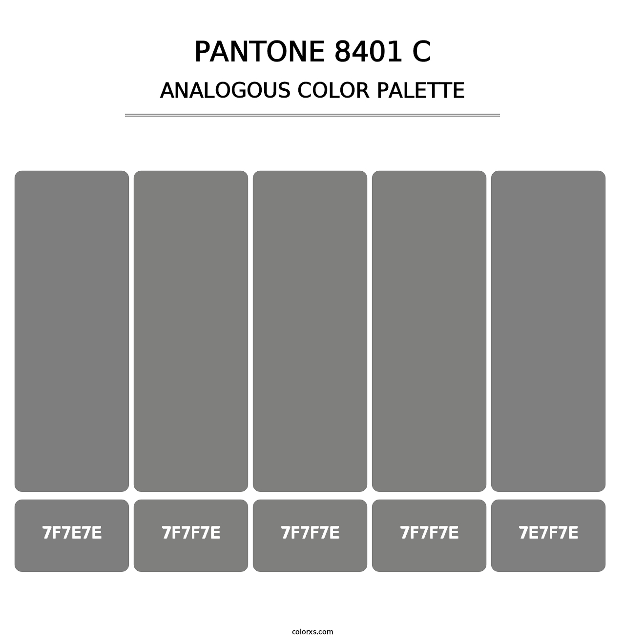 PANTONE 8401 C - Analogous Color Palette