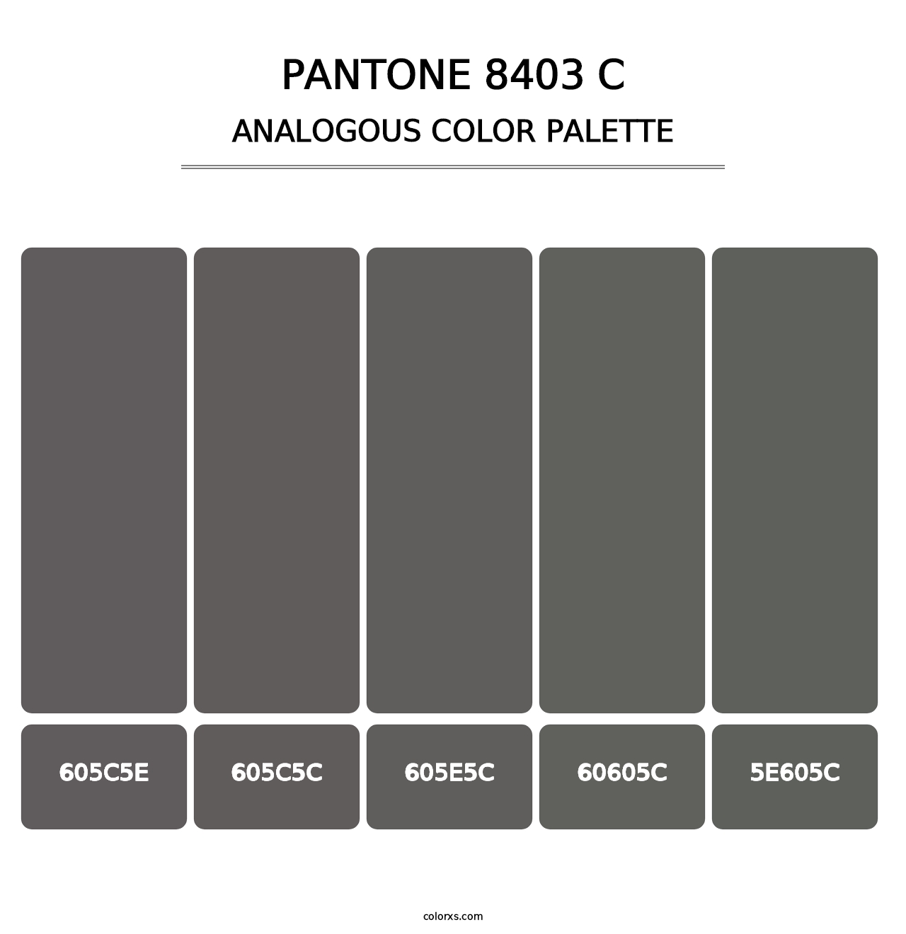 PANTONE 8403 C - Analogous Color Palette
