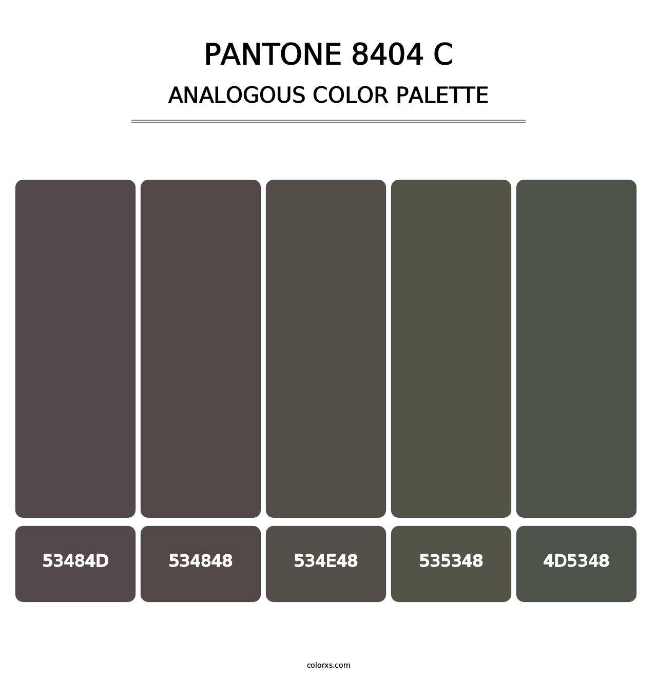 PANTONE 8404 C - Analogous Color Palette