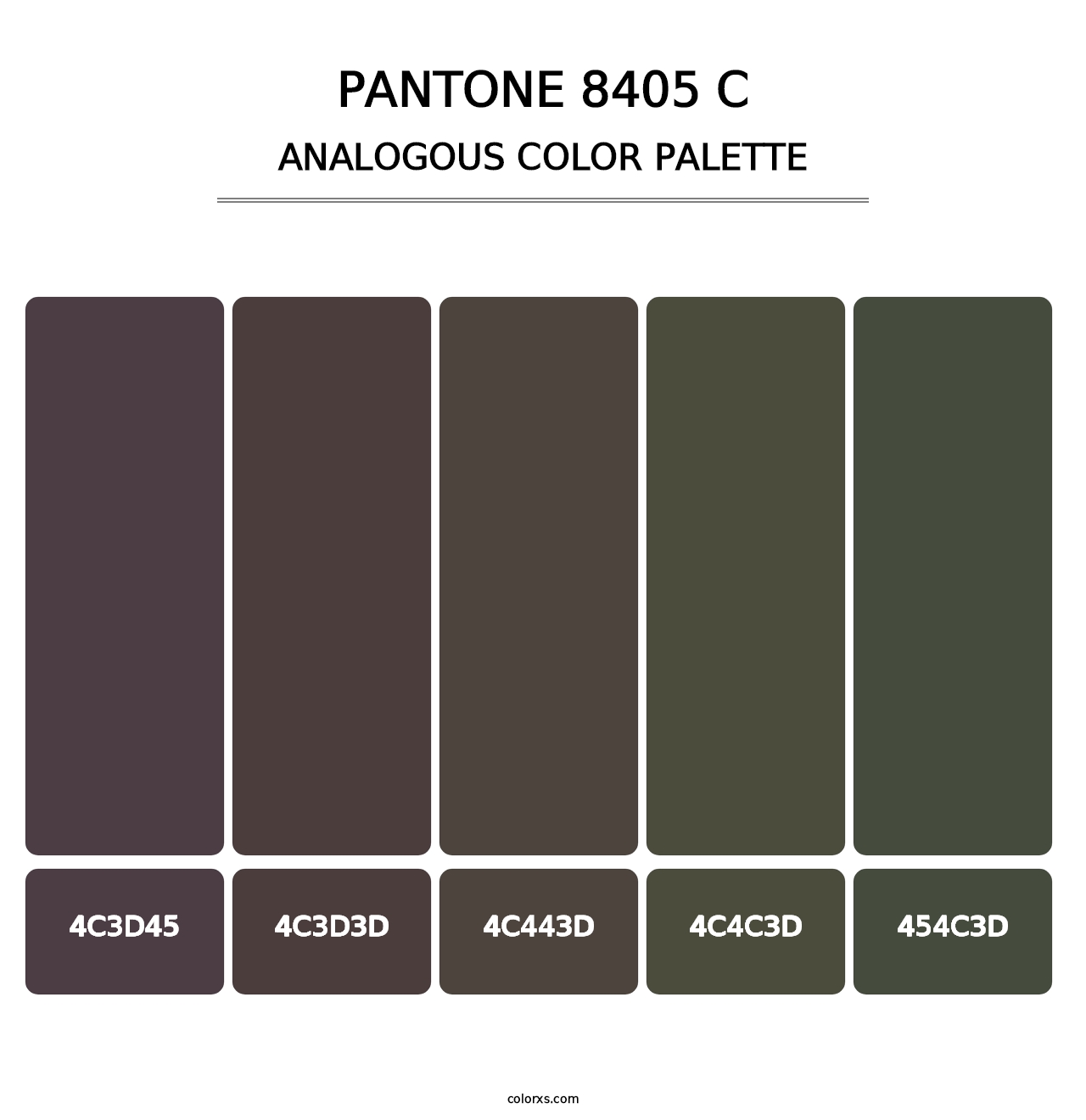 PANTONE 8405 C - Analogous Color Palette