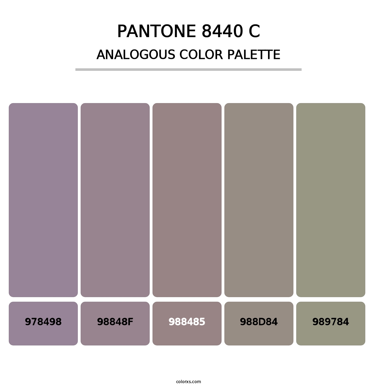 PANTONE 8440 C - Analogous Color Palette