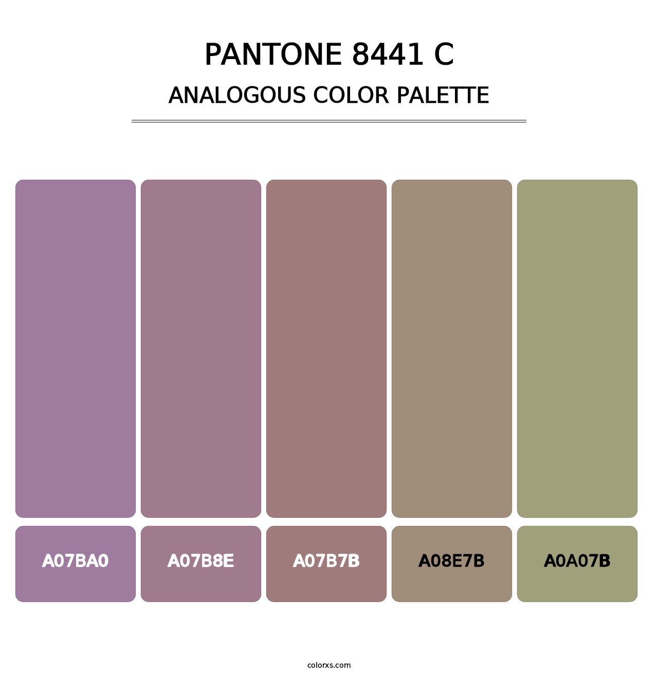 PANTONE 8441 C - Analogous Color Palette