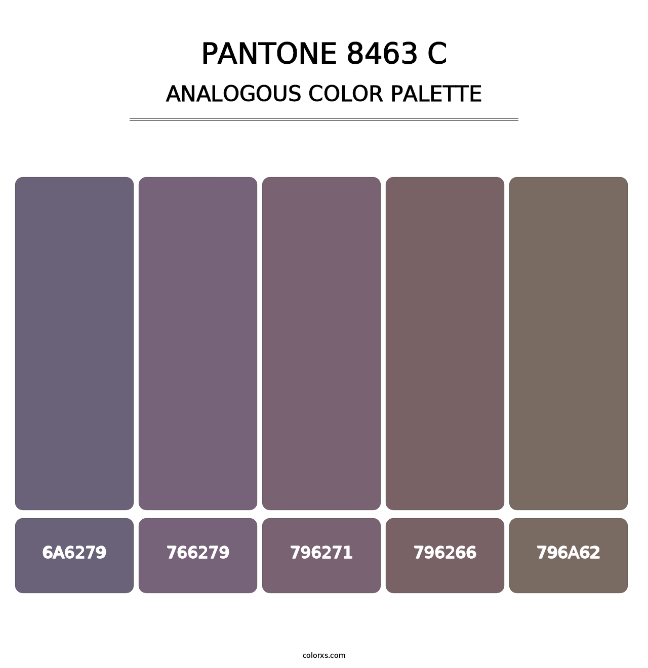 PANTONE 8463 C - Analogous Color Palette