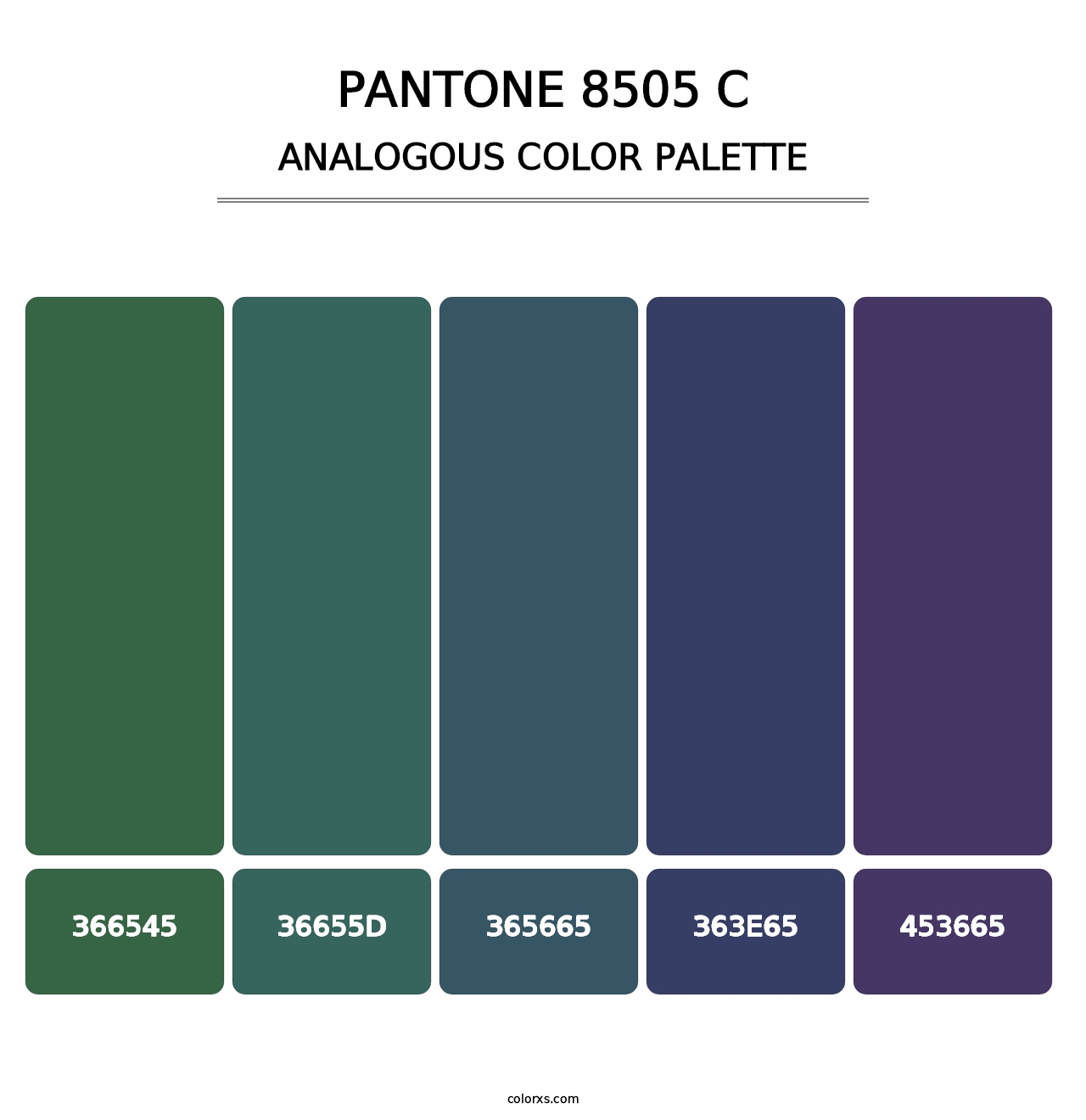 PANTONE 8505 C - Analogous Color Palette