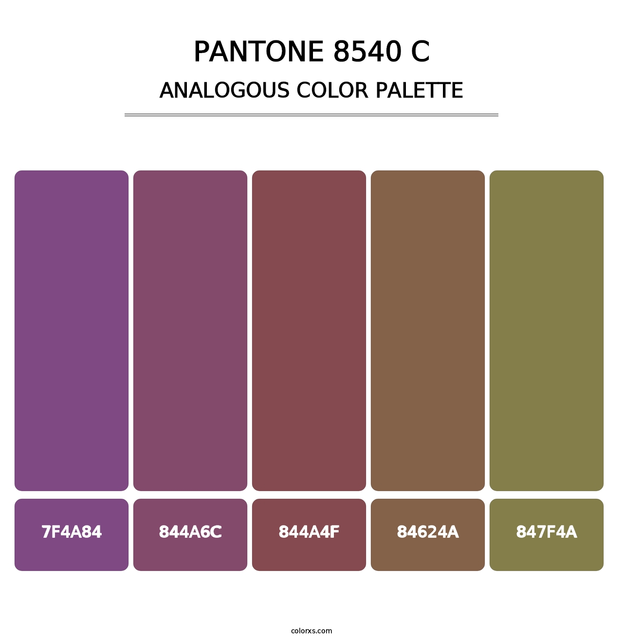 PANTONE 8540 C - Analogous Color Palette