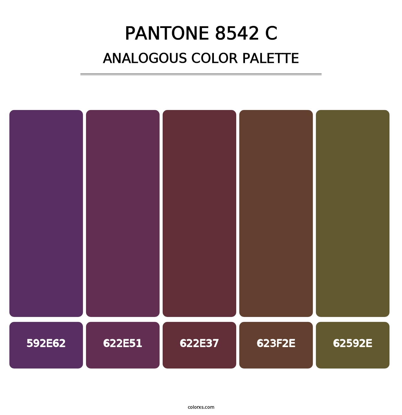 PANTONE 8542 C - Analogous Color Palette