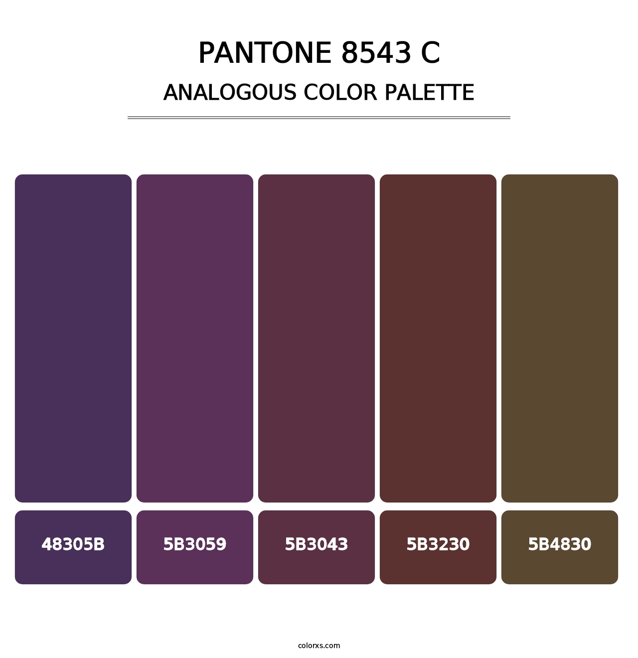PANTONE 8543 C - Analogous Color Palette
