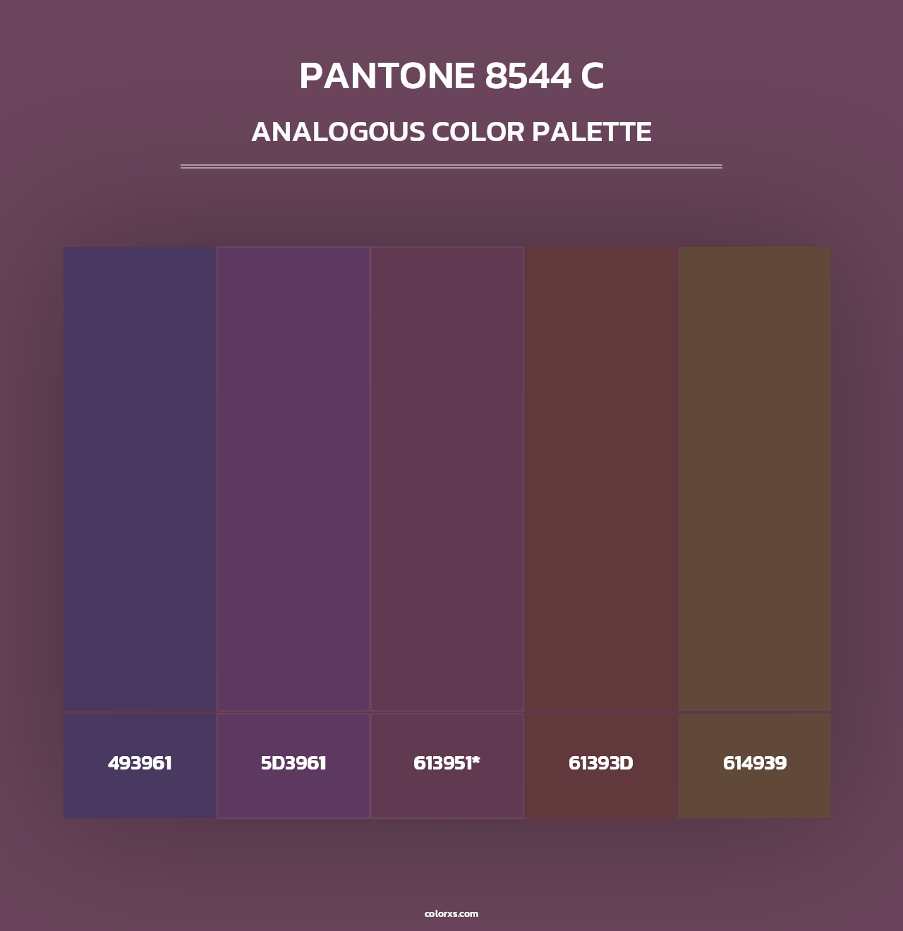 PANTONE 8544 C - Analogous Color Palette