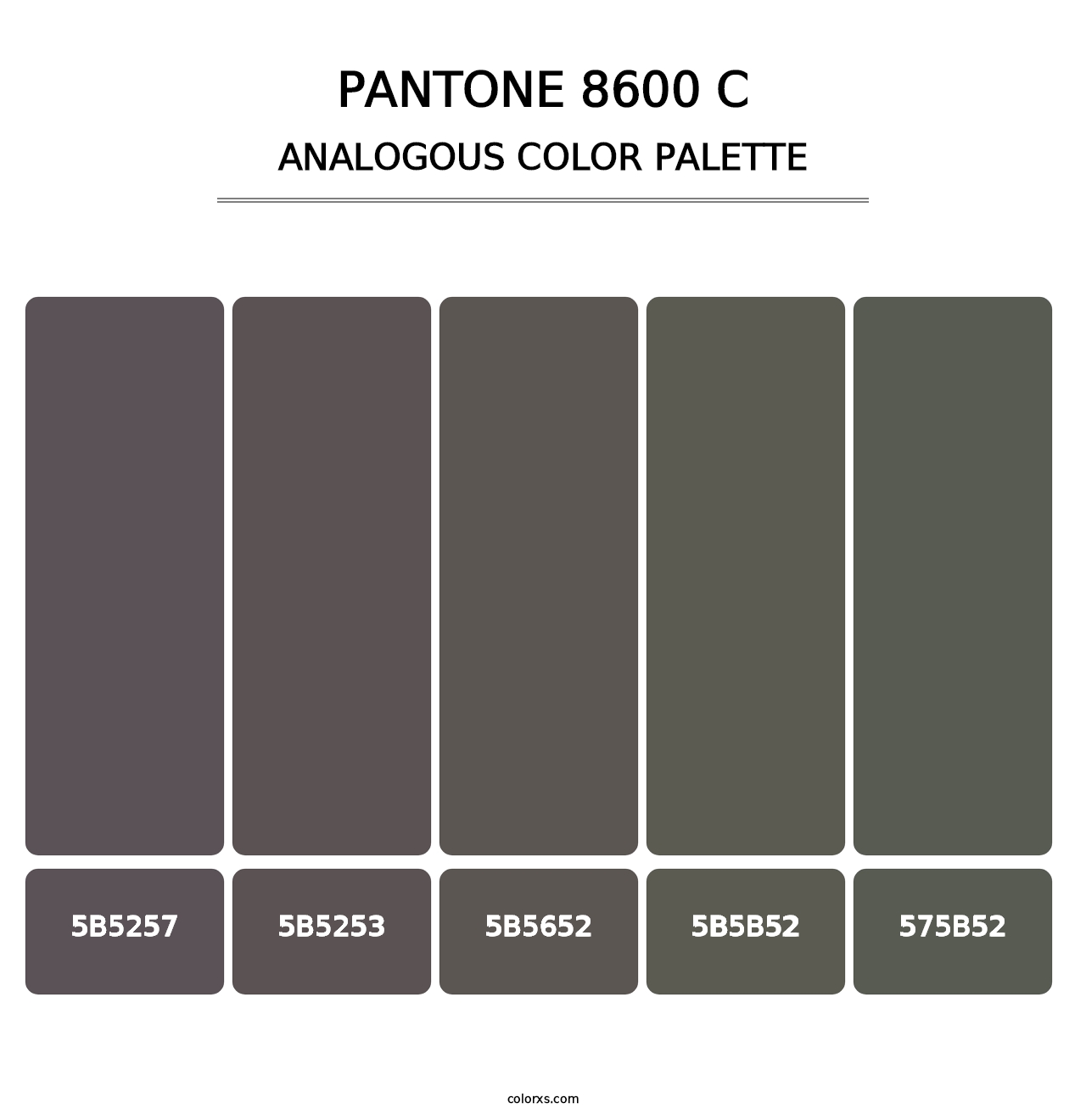 PANTONE 8600 C - Analogous Color Palette