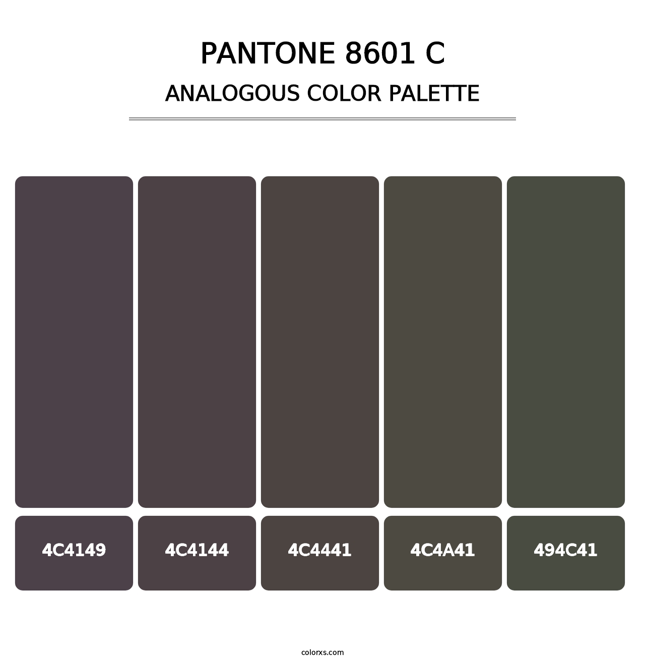PANTONE 8601 C - Analogous Color Palette