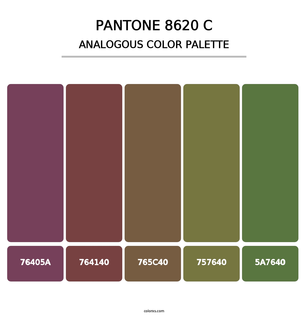 PANTONE 8620 C - Analogous Color Palette
