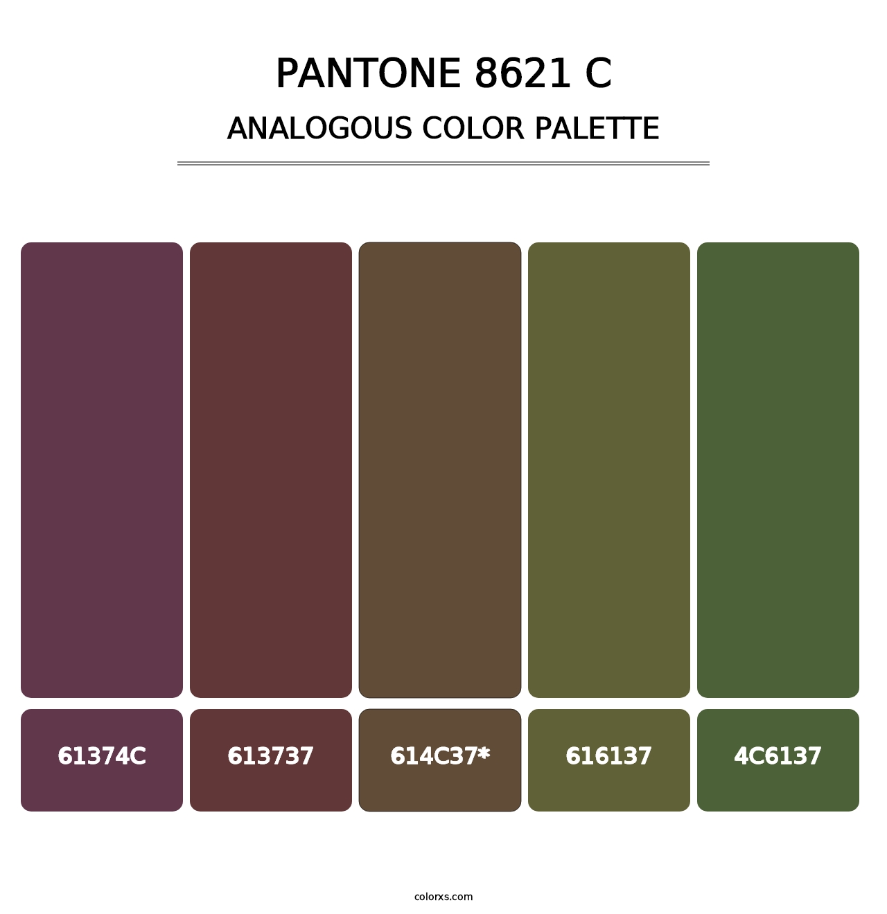 PANTONE 8621 C - Analogous Color Palette