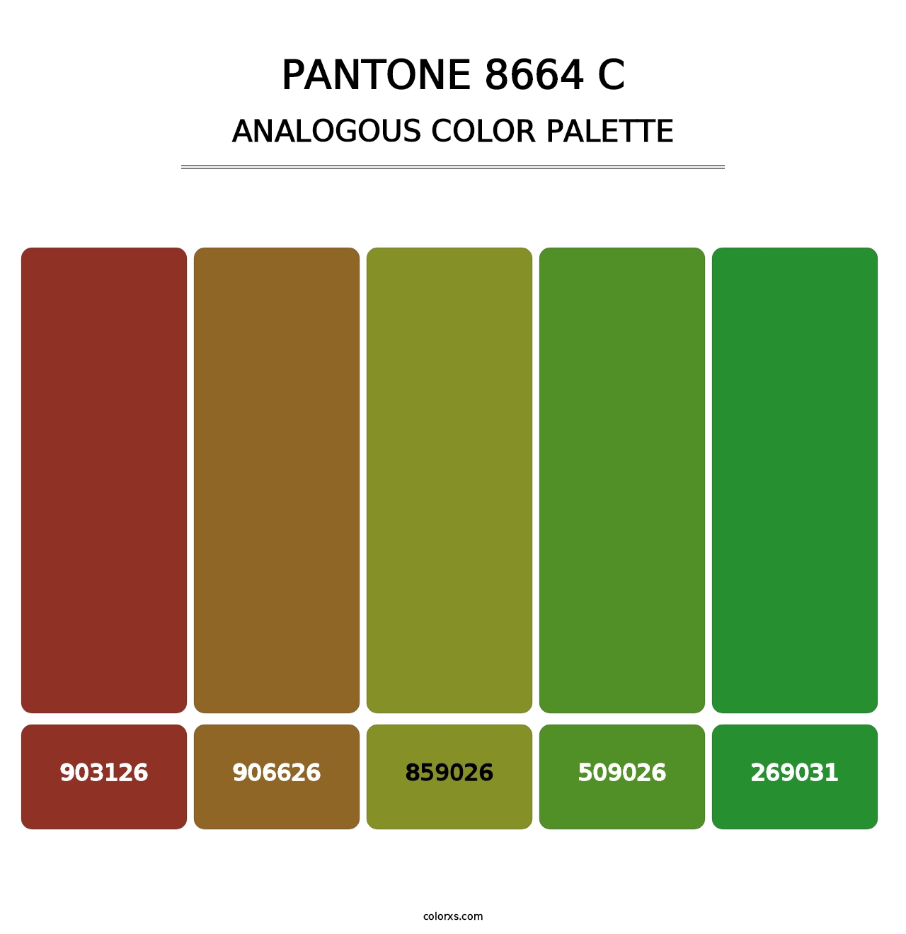 PANTONE 8664 C - Analogous Color Palette