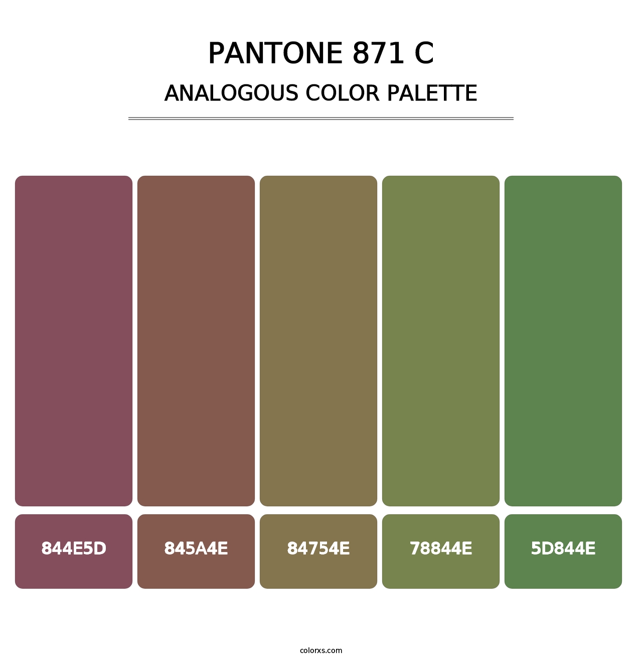 PANTONE 871 C - Analogous Color Palette