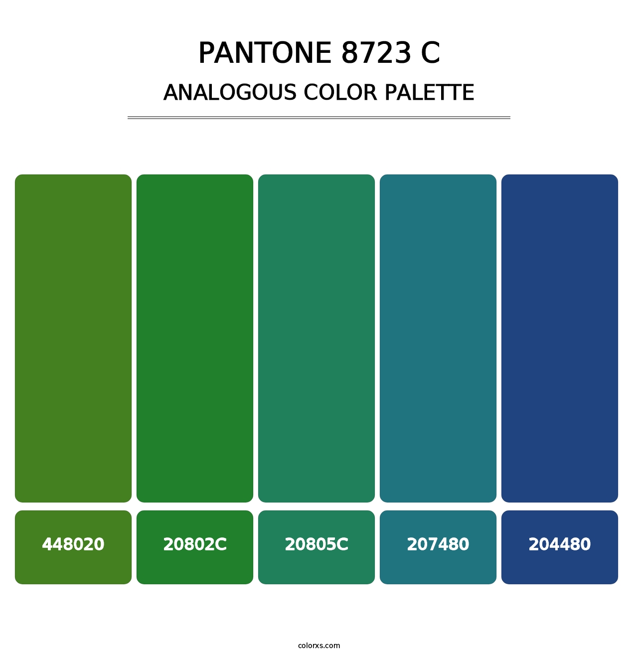 PANTONE 8723 C - Analogous Color Palette