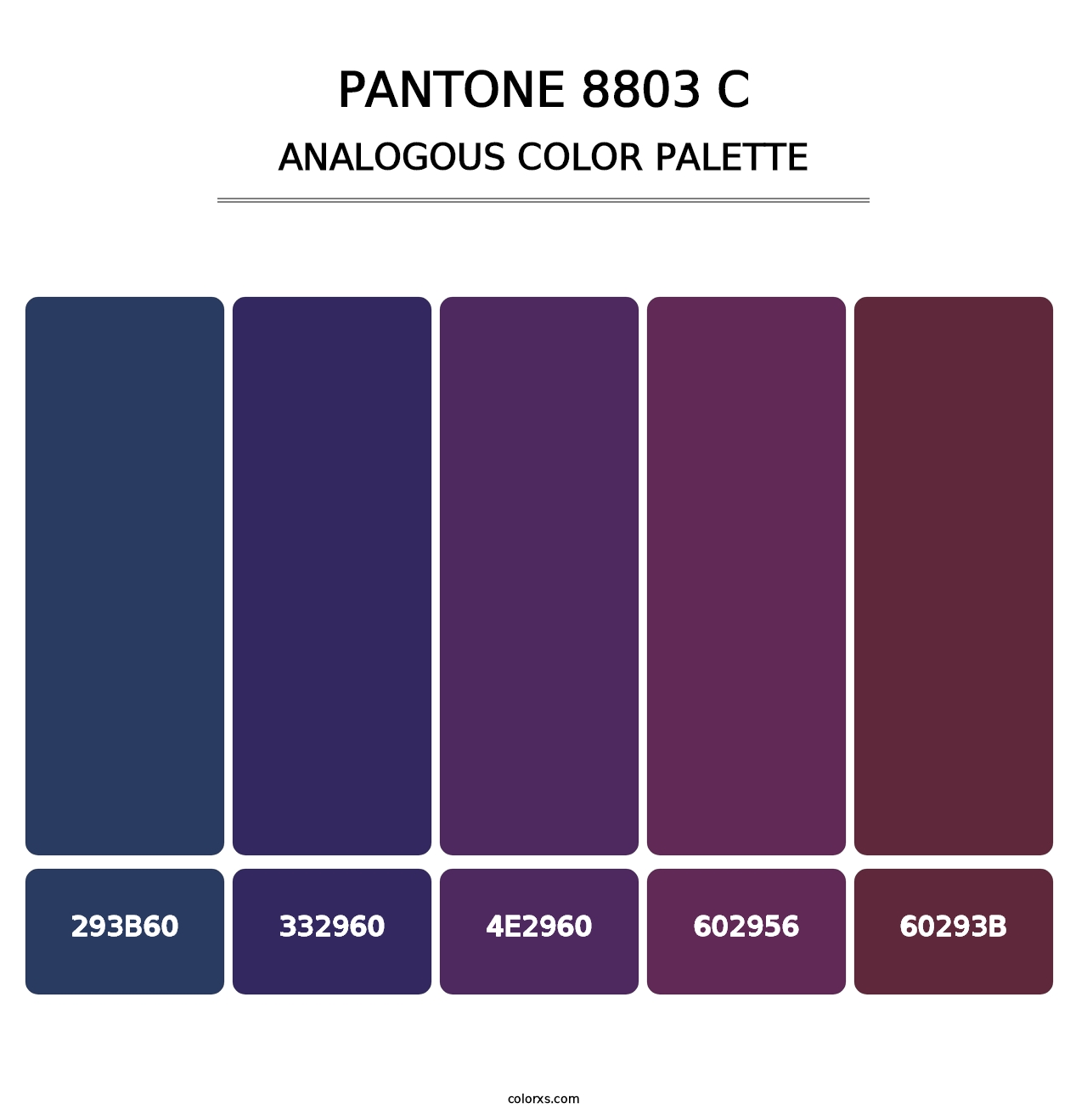PANTONE 8803 C - Analogous Color Palette