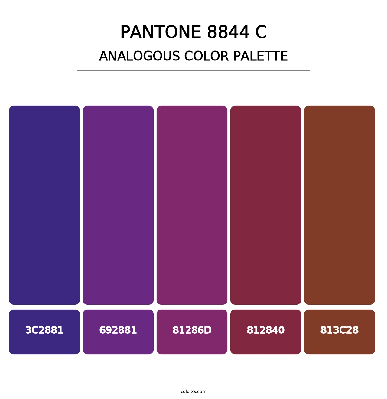 PANTONE 8844 C - Analogous Color Palette