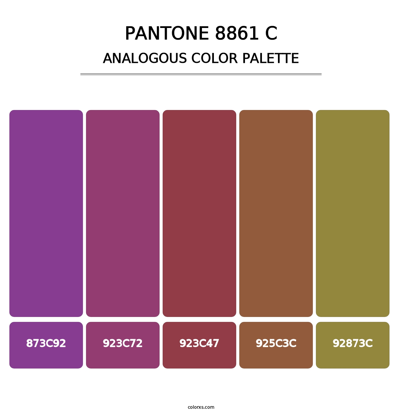 PANTONE 8861 C - Analogous Color Palette